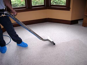 carpet cleaning services toronto gta